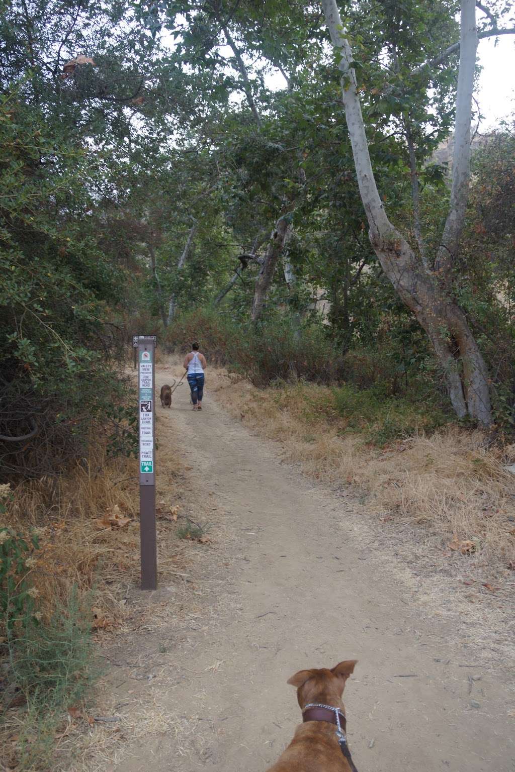 Valley View Preserve Lucis Trailhead | Shelf Rd, Ojai, CA 93023, USA | Phone: (805) 649-6852