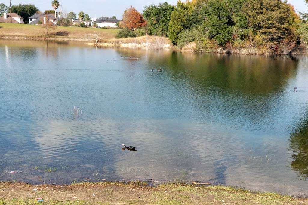 Tom Bass Regional Park III | 15108 Cullen Blvd, Houston, TX 77047, USA | Phone: (713) 440-1587