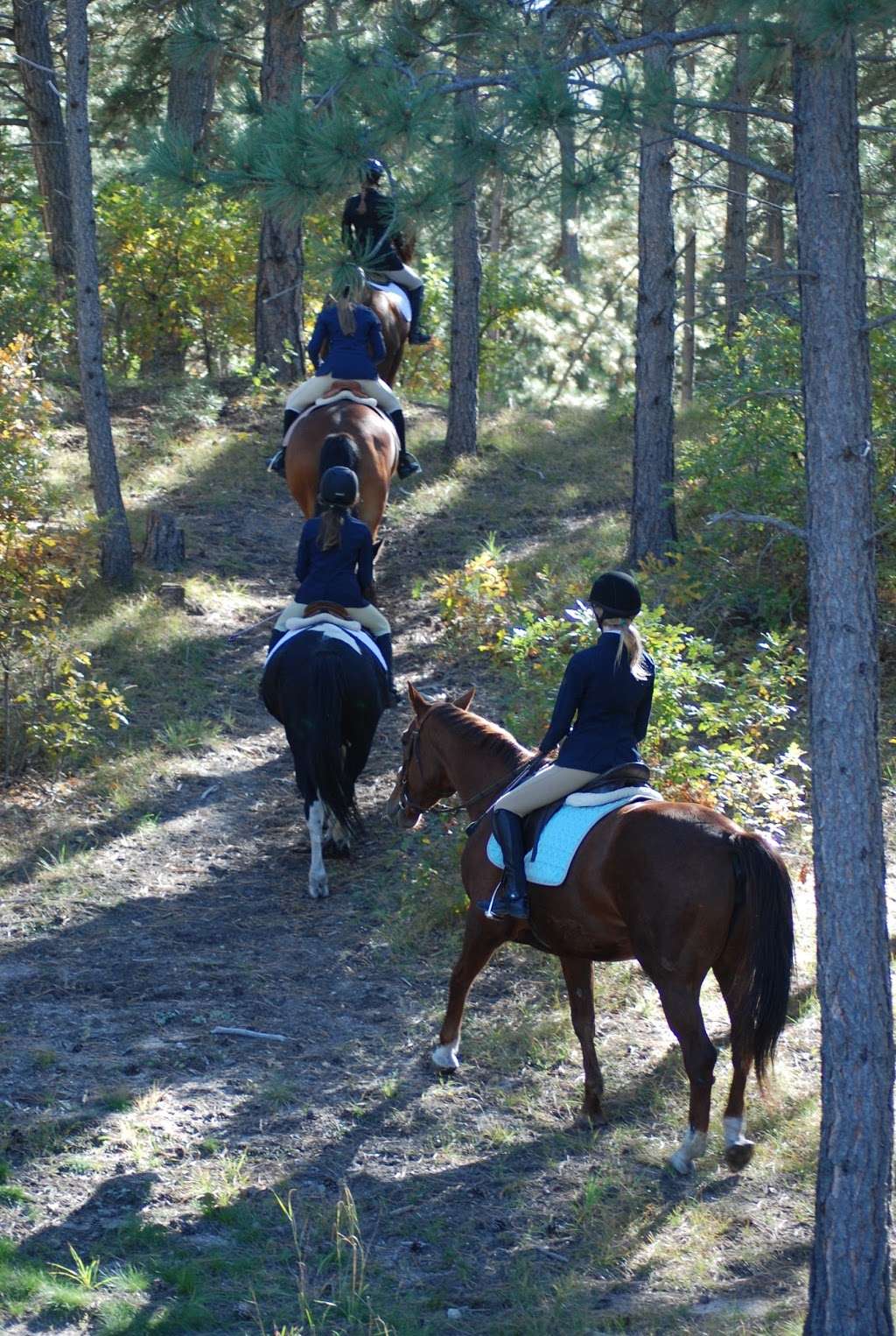 EquesTraining | 11063 Sheffield Ct, Parker, CO 80134, USA | Phone: (720) 785-0980