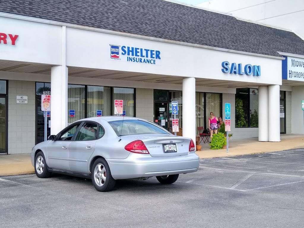 Shelter Insurance - Ron Frankenberg | 7531 S Lindbergh Blvd, St. Louis, MO 63125, USA | Phone: (314) 845-3388