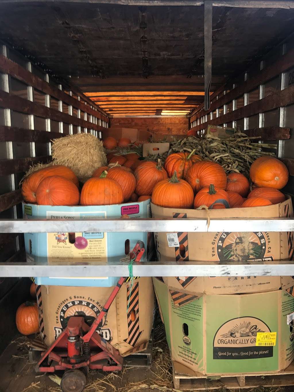 Georges pumpkin patch | 903 S Western Ave, Rancho Palos Verdes, CA 90275, USA