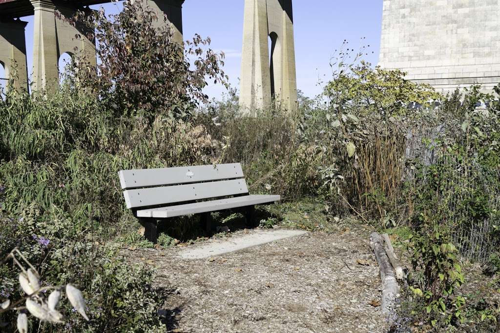 Native Plant Garden | 11 Wards Meadow Loop, New York, NY 10035, USA