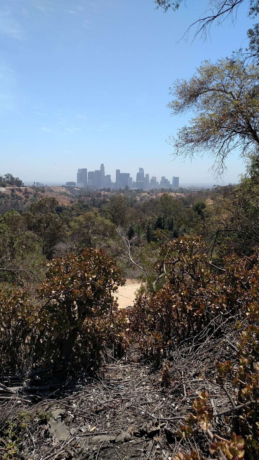 Elysian Park Reservoir Grand View Dr. | Elysian Reservoir, Los Angeles, CA 90012, Los Angeles, CA 90012, USA | Phone: (213) 485-5054