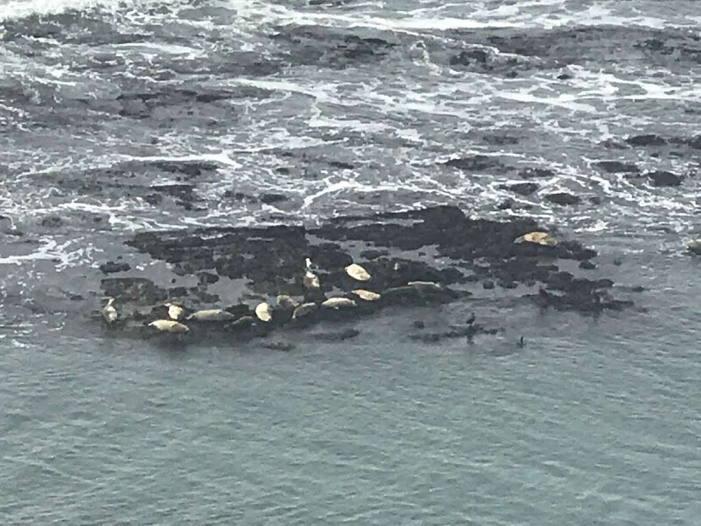 Pillar Point Bluff Parking Lot | Airport St, Moss Beach, CA 94038, USA