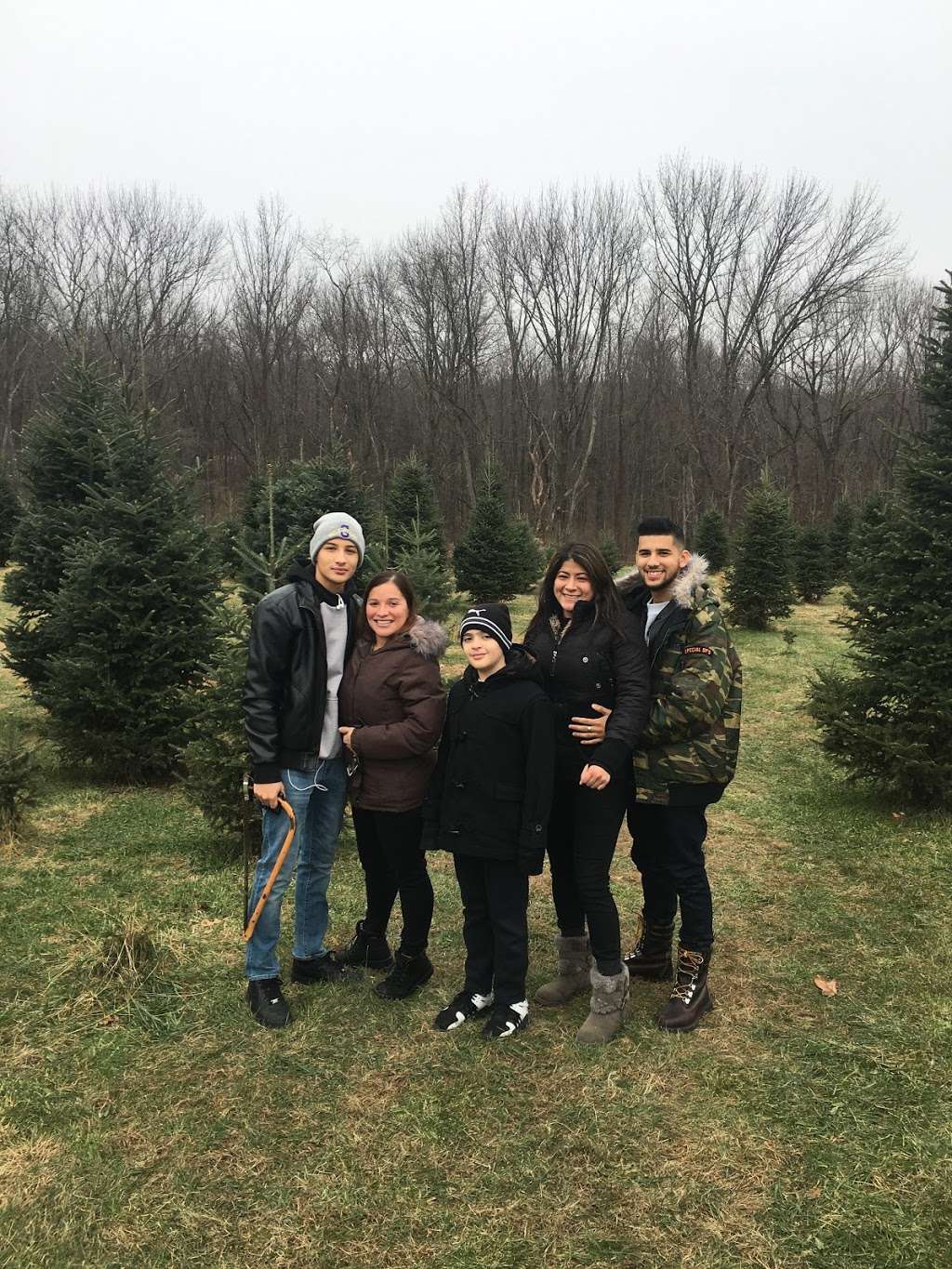 Sunset Christmas Tree Farm | 21 Frontage Rd, Blairstown, NJ 07825, USA | Phone: (908) 459-4048