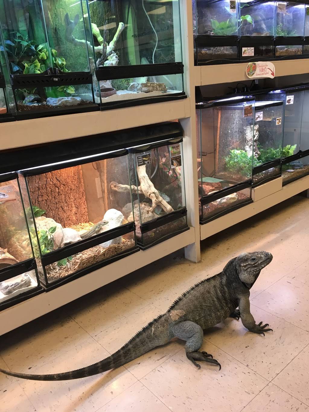 Tails & Scales Pet Shop | 1718 Nelson Dr, Derby, KS 67037, USA | Phone: (316) 788-1100