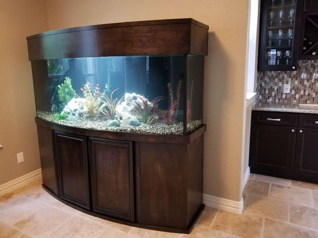 Aquarium Sales and Service Houston - Deep Aquatic | 13225 Farm to Market Rd 529 #205, Houston, TX 77041, USA | Phone: (713) 366-9787