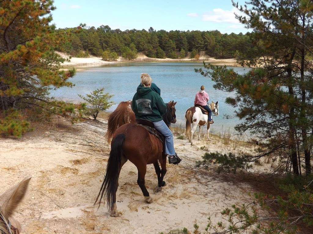 Menantico Ponds Fish and Wildlife Management Area | 8747 Ferry Road, Millville, NJ 08332, USA | Phone: (856) 785-0455