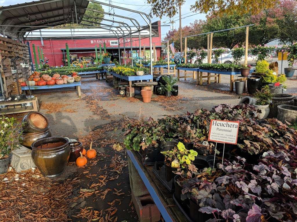 Brawley Garden Center | 982 N Main St, Mooresville, NC 28115, USA | Phone: (704) 663-5553