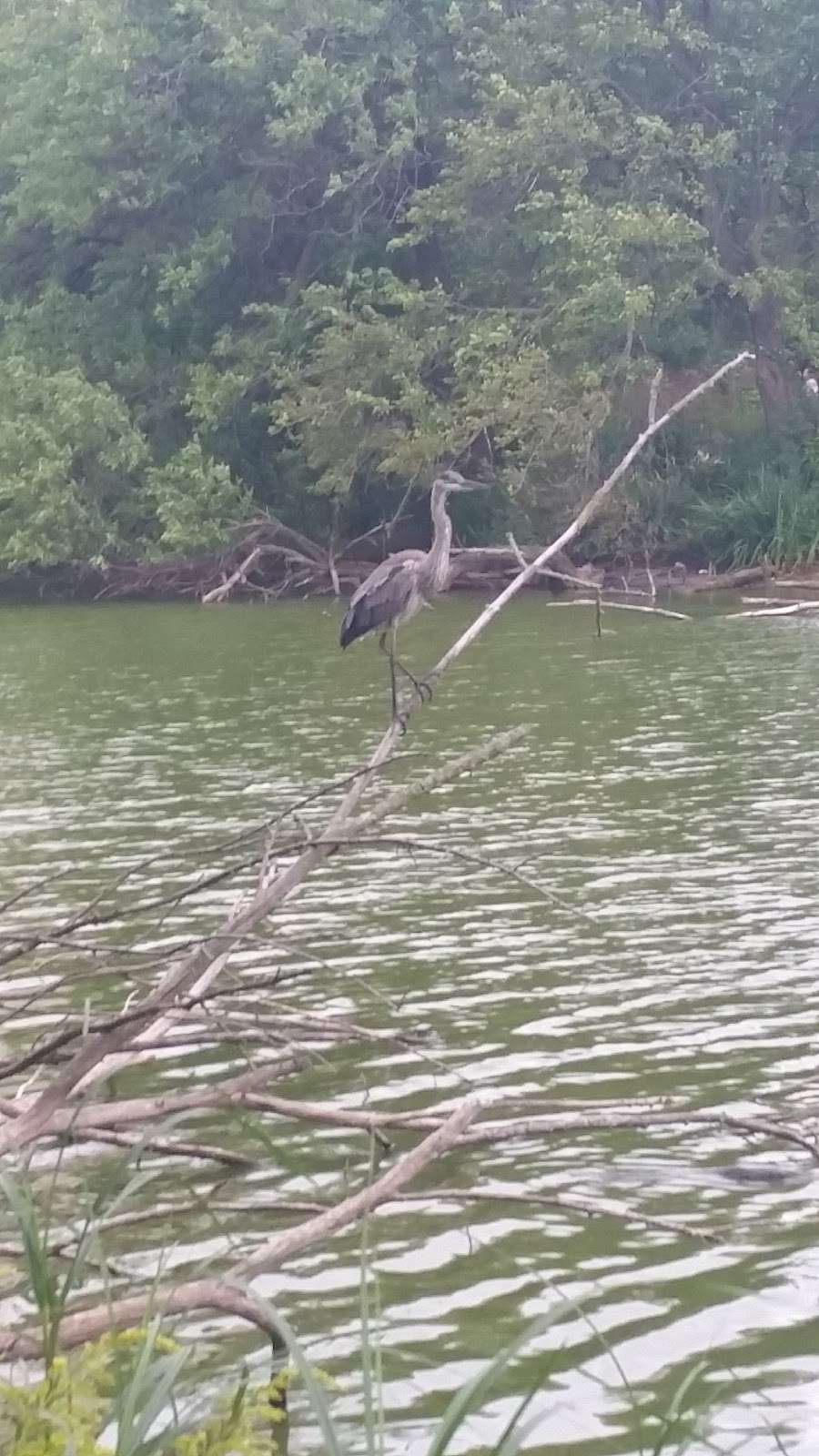 North Pond Nature Sanctuary | N Lincoln Park W, Chicago, IL 60614, USA