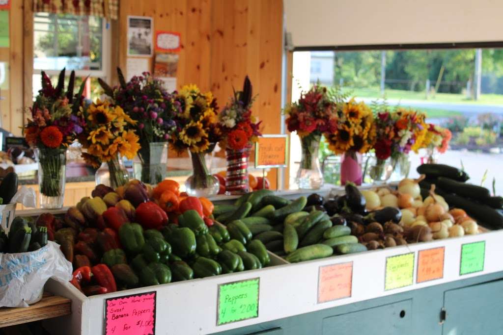 Hammond School Farm Market | 9496, 661 Ranck Rd, New Holland, PA 17557, USA | Phone: (717) 354-8114