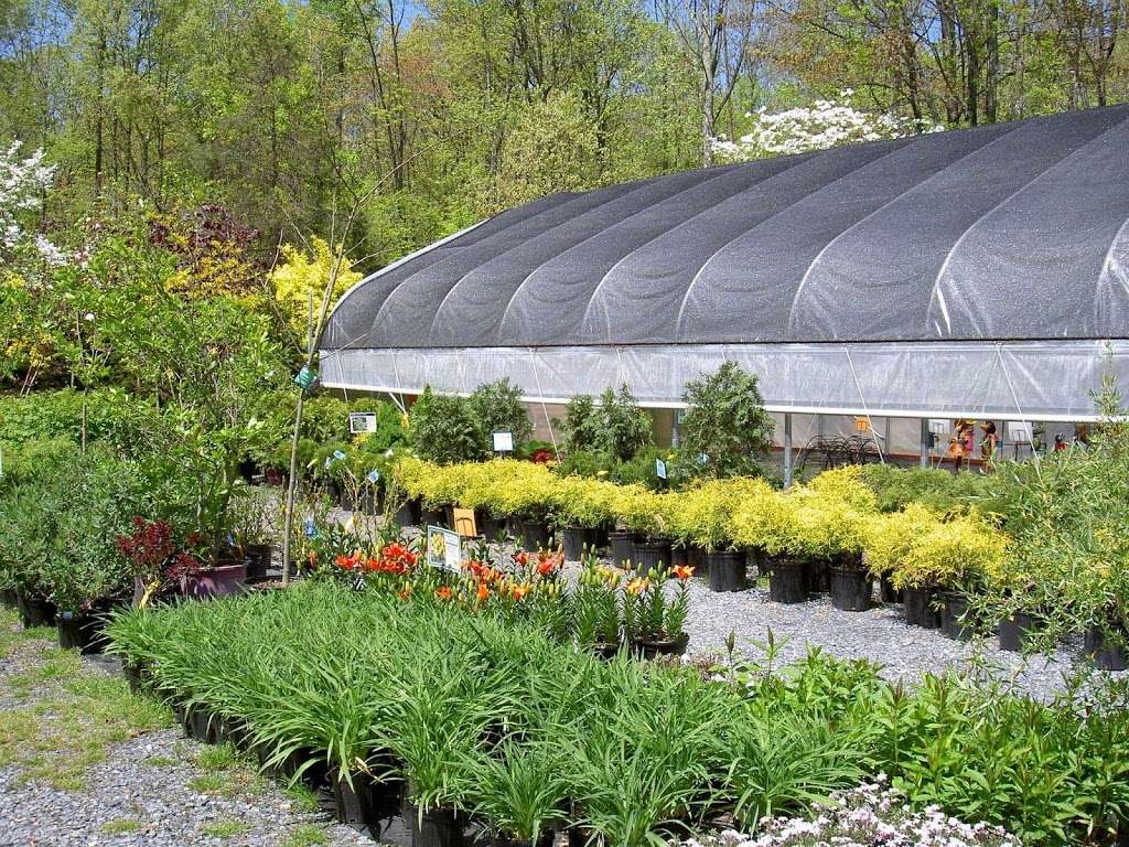 Ginder Greenhouse & Garden Center Inc | 558 Lake Minsi Dr, Bangor, PA 18013, USA | Phone: (610) 588-0222