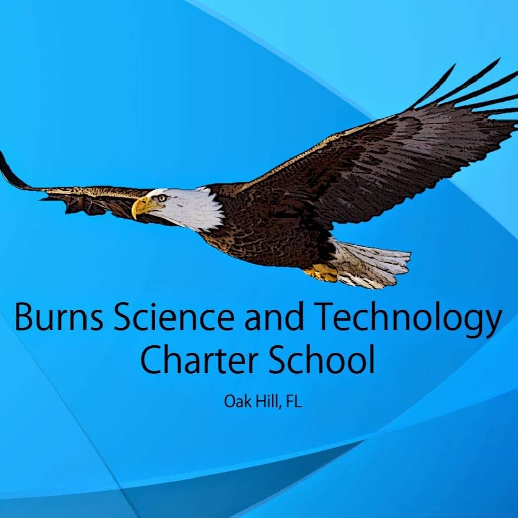 Burns Science and Technology Charter School | 160 Ridge Rd, Oak Hill, FL 32759, USA | Phone: (386) 210-4915