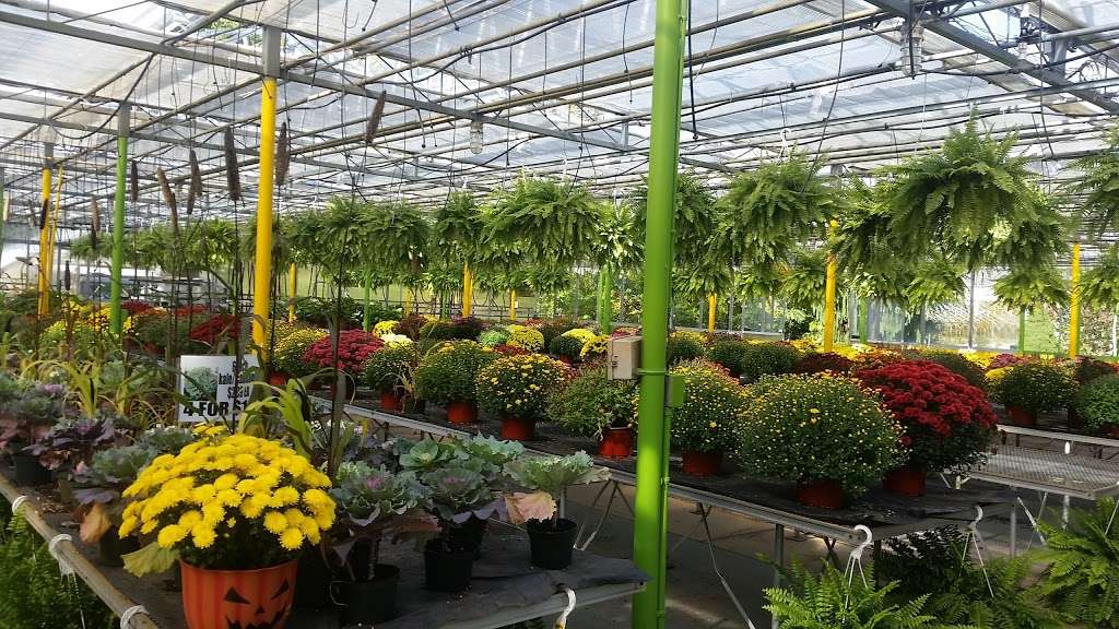 Dutch & Olgas Greenhouse | 1285 NJ-36, Hazlet, NJ 07730, USA | Phone: (732) 888-4808