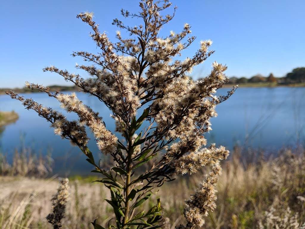 Tom Bass Regional Park III | 15108 Cullen Blvd, Houston, TX 77047, USA | Phone: (713) 440-1587