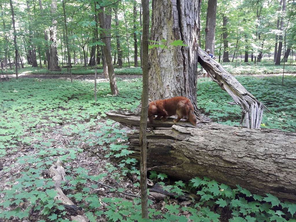 Forest Preserves of Cook County | 9460 S Dee Rd, Park Ridge, IL 60068, USA