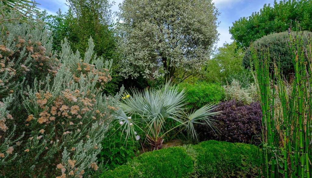 Monas Garden | Wood Vale, London N8 8RN, UK