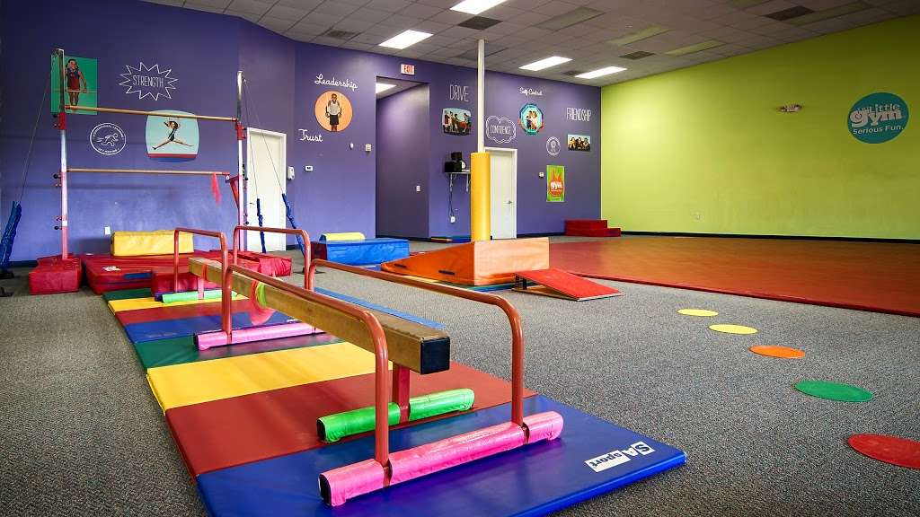 The Little Gym of Friendswood | 400 W Parkwood Ave #108, Friendswood, TX 77546, USA | Phone: (281) 482-4242