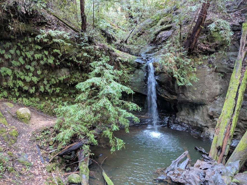 Big Basin Redwoods State Park Headquarters & Visitor Center | 21600 Big Basin Hwy, Boulder Creek, CA 95006, USA | Phone: (831) 338-8861