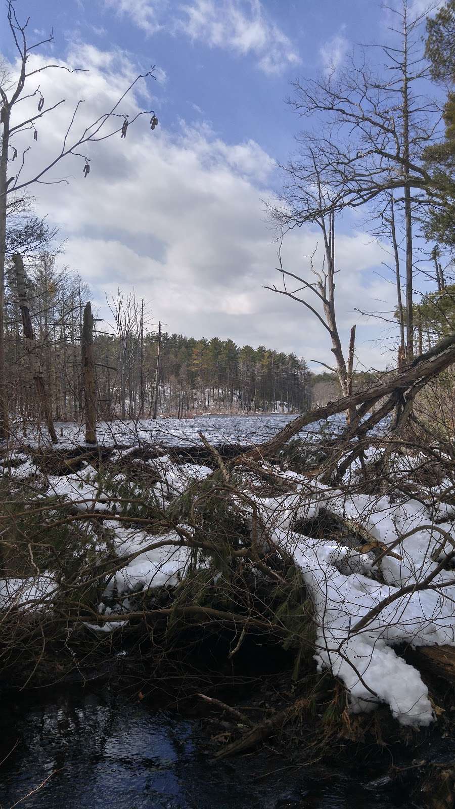 John C. Phillips Wildlife Sanctuary | Boxford, MA 01921, USA