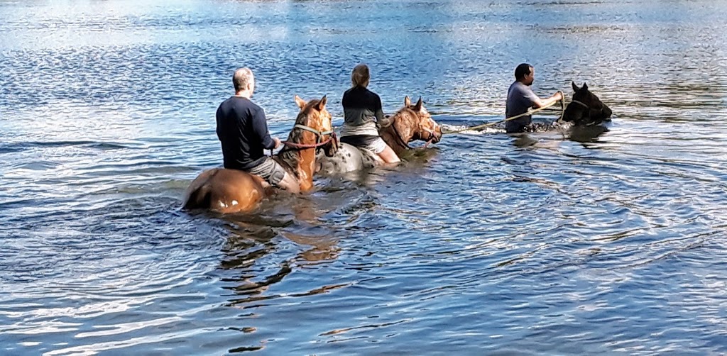 A&A Adventure Horse Trail Rides | Call for reservation, Office only, 2764 SW 83rd Ave, Miramar, FL 33025, USA | Phone: (954) 816-2685