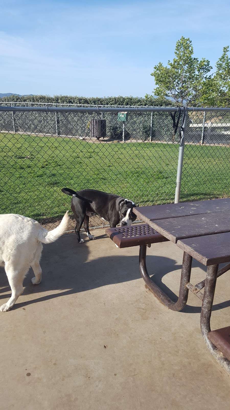 Simi Dog Park | Simi Valley, CA 93065, USA | Phone: (805) 584-4444