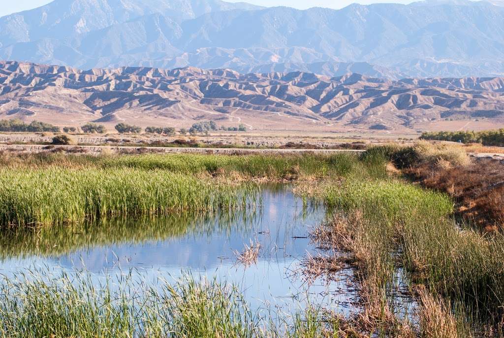 San Jacinto Wildlife Area | 17050 Davis St, Lakeview, CA 92567, USA | Phone: (951) 928-0580