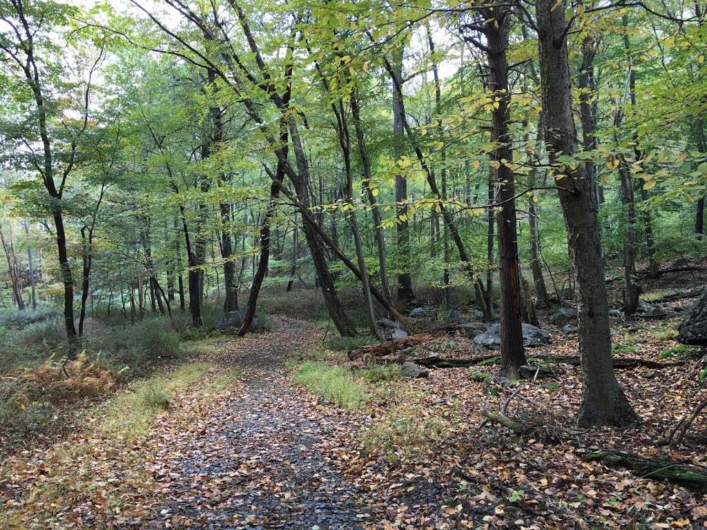 Doodletown trailhead | Dunderberg Turnpike, Tomkins Cove, NY 10986, USA