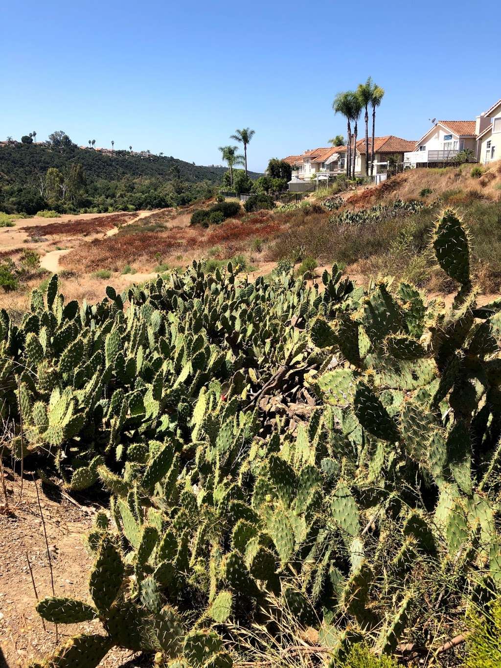 Penasquitos Creek Park Trail Head | 12048-11900 Camino Del Sur, San Diego, CA 92129, USA