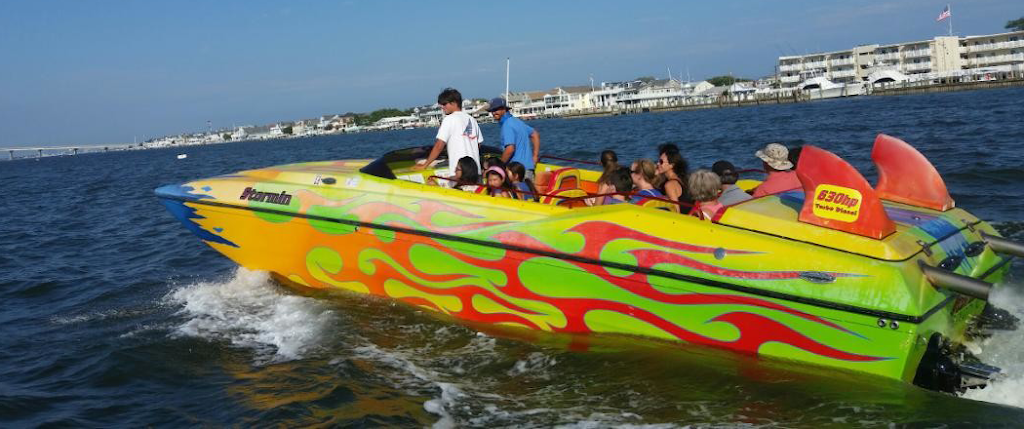 Screamer Speedboat & Dolphin Watch | 244 Bay Ave, Ocean City, NJ 08226, USA | Phone: (609) 398-5800