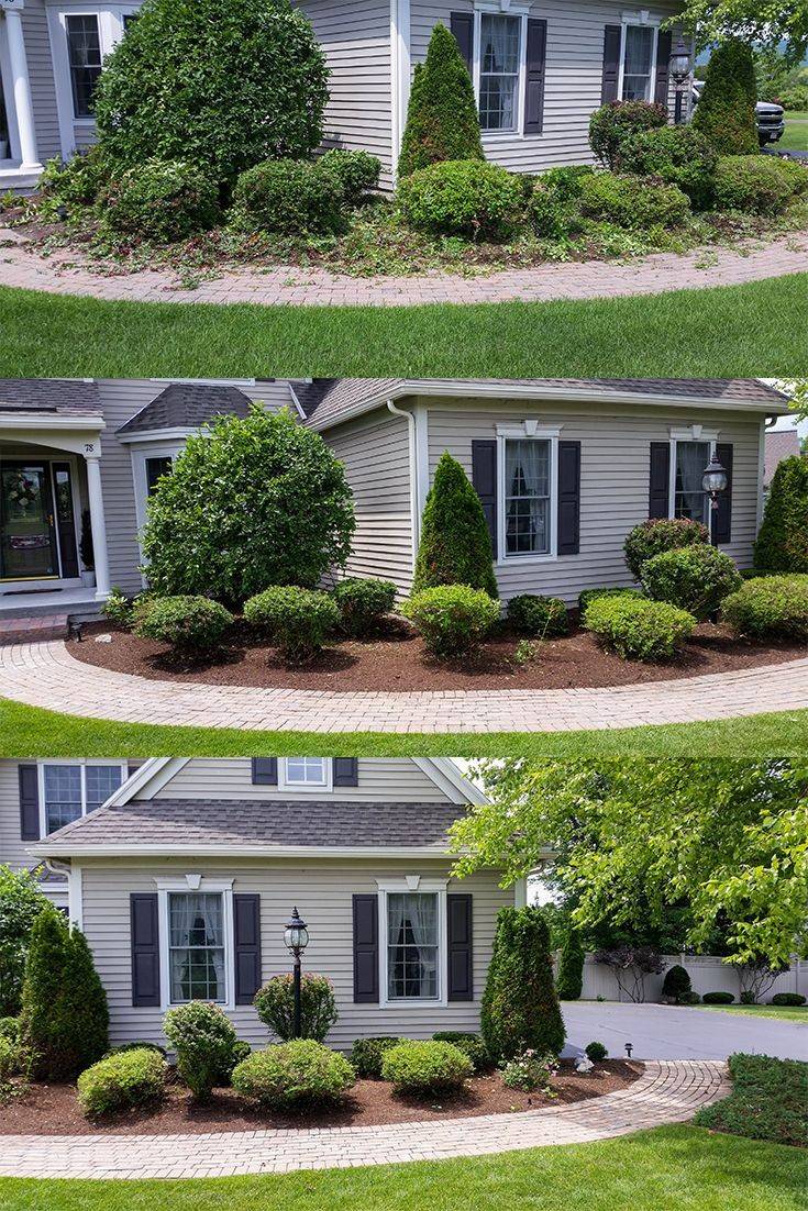 All green nature Landscaping & Lawn care LLC | 98 Sherwood St, Clifton, NJ 07013, USA | Phone: (201) 887-4450