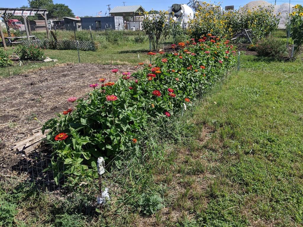 Pecan Street Community Garden | 15500 Sun Light Near Way, Pflugerville, TX 78660, USA | Phone: (512) 990-6360