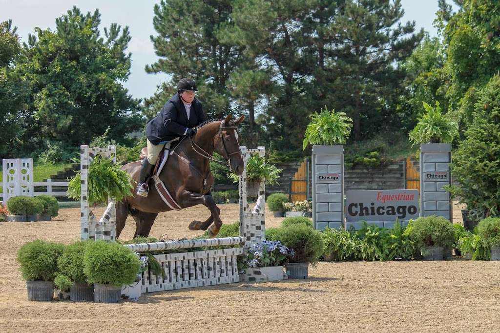 Glen Grove Equestrian Center | 9453 Harms Rd, Morton Grove, IL 60053, USA | Phone: (847) 966-8032