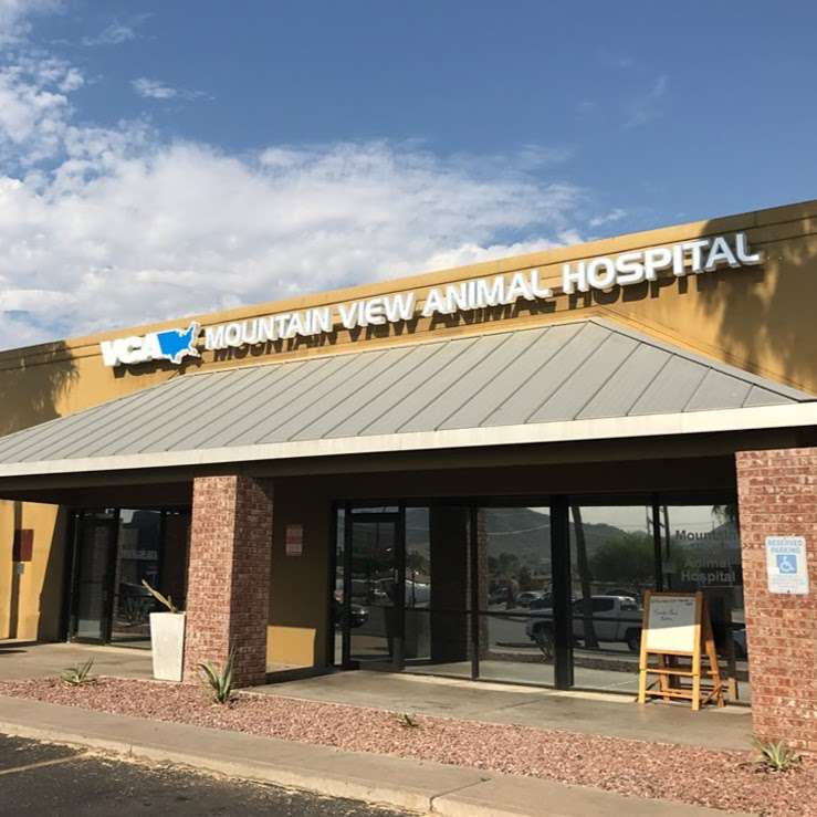 VCA Mountain View Animal Hospital | 9812 N 7th St, Phoenix, AZ 85020, USA | Phone: (602) 861-1355