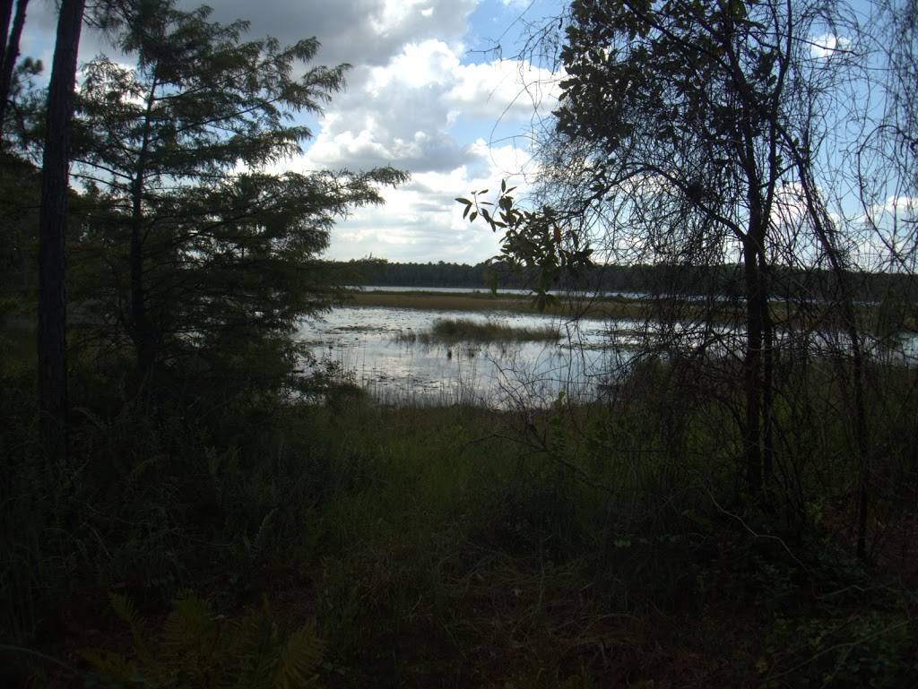 Isle of Pine Preserve Green Trail Trailhead | 14320 Fresno Dr, Orlando, FL 32832, USA | Phone: (407) 836-1400