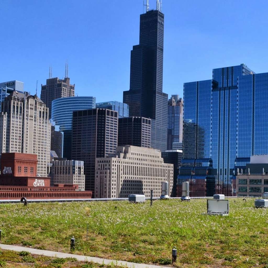 Green Roof Solutions | 4309 Regency Dr, Glenview, IL 60025, USA | Phone: (866) 675-9963