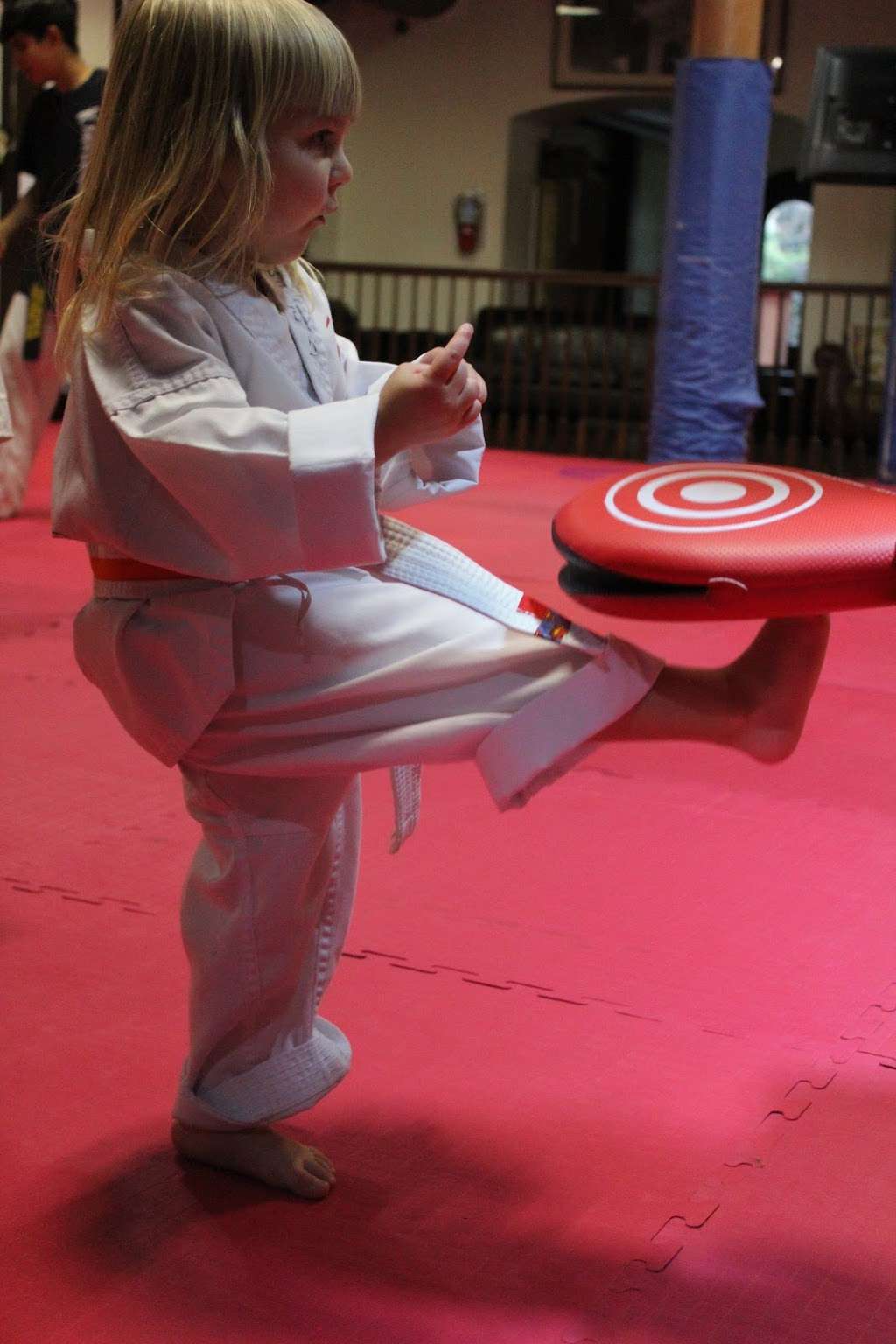 Power Training Center, Kwons Tae Kwon Do | 69 Mine Brook Rd, Bernardsville, NJ 07924, USA | Phone: (908) 766-9797