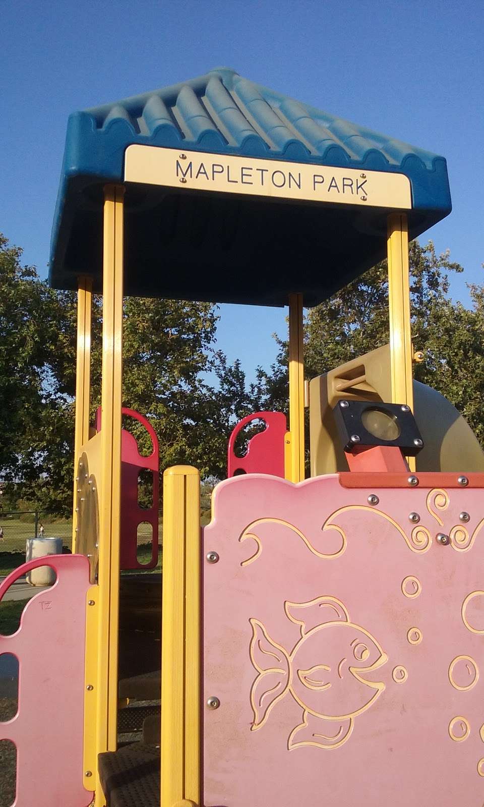 Mapleton Park | Murrieta, CA 92563, USA