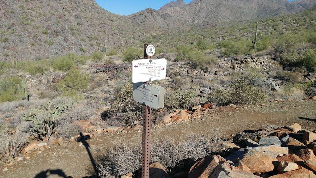 Gateway Trailhead - McDowell Sonoran Preserve | 18333 N Thompson Peak Pkwy, Scottsdale, AZ 85255, USA | Phone: (480) 998-7971