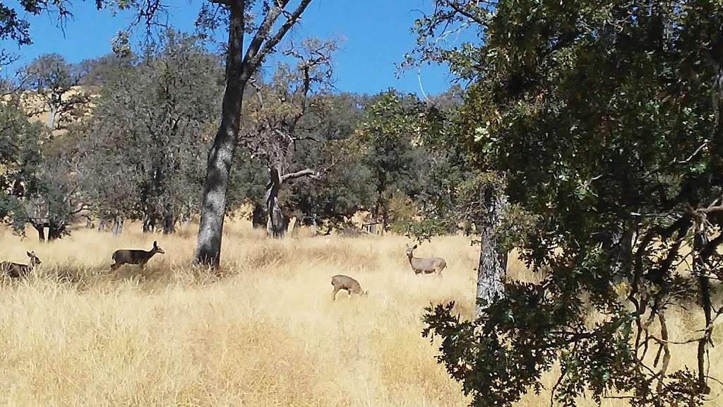 Tehachapi Mountain Park | 17350 Water Canyon Rd, Tehachapi, CA 93561, USA | Phone: (661) 822-4632