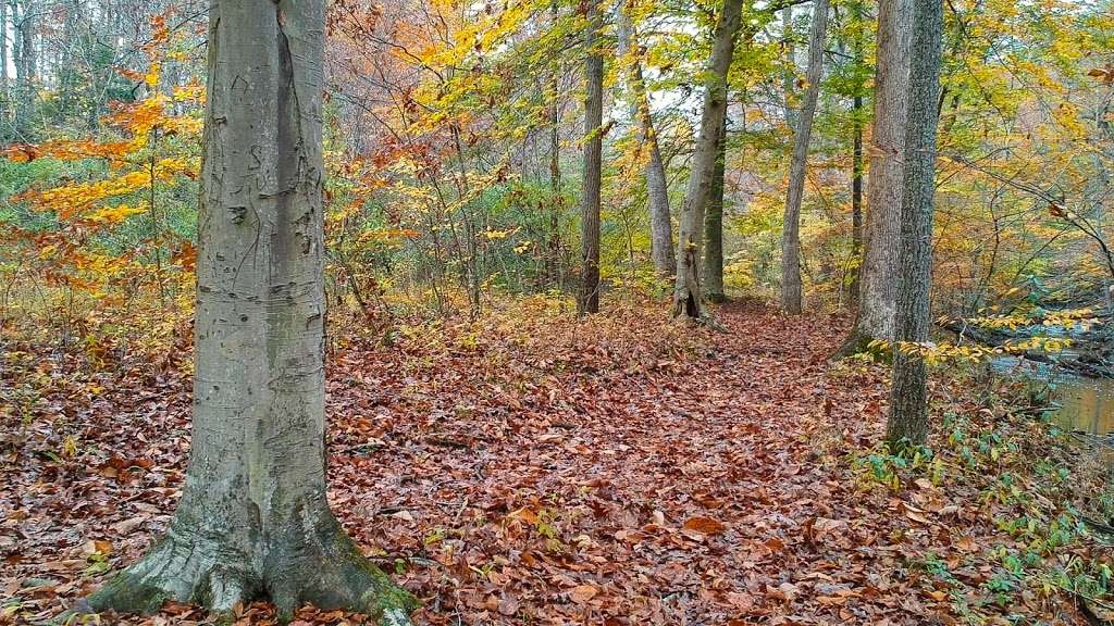 Little Rocky Run Trail | Little Rocky Run Cir, Centreville, VA 20121, USA