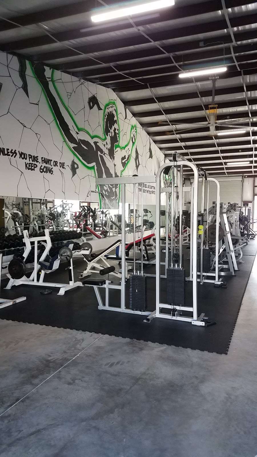 Species Gym | 3115 N Fry Rd #305, Katy, TX 77449, USA | Phone: (832) 427-5770