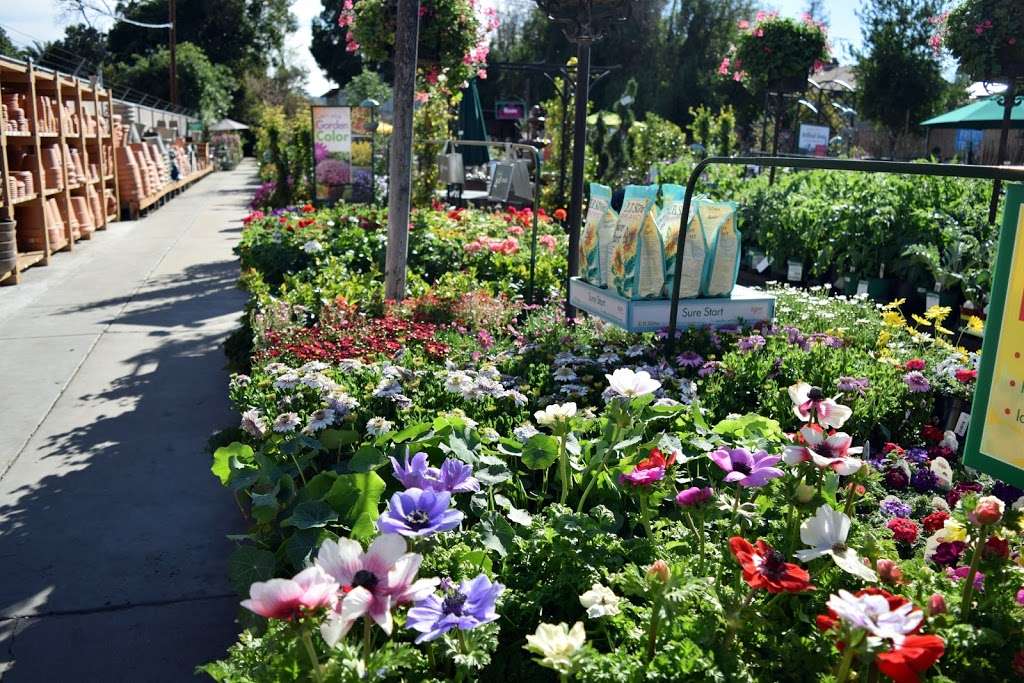 Armstrong Garden Centers | 12920 W Magnolia Blvd, Sherman Oaks, CA 91423, USA | Phone: (818) 761-1522