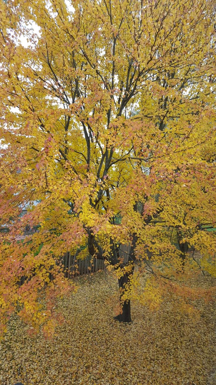 Pumptown Corners | Pheasant Run, Edison, NJ 08820, USA