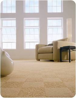 Castle Carpet Care | 29429 Shackett Ave, Madison Heights, MI 48071, USA | Phone: (248) 761-7614