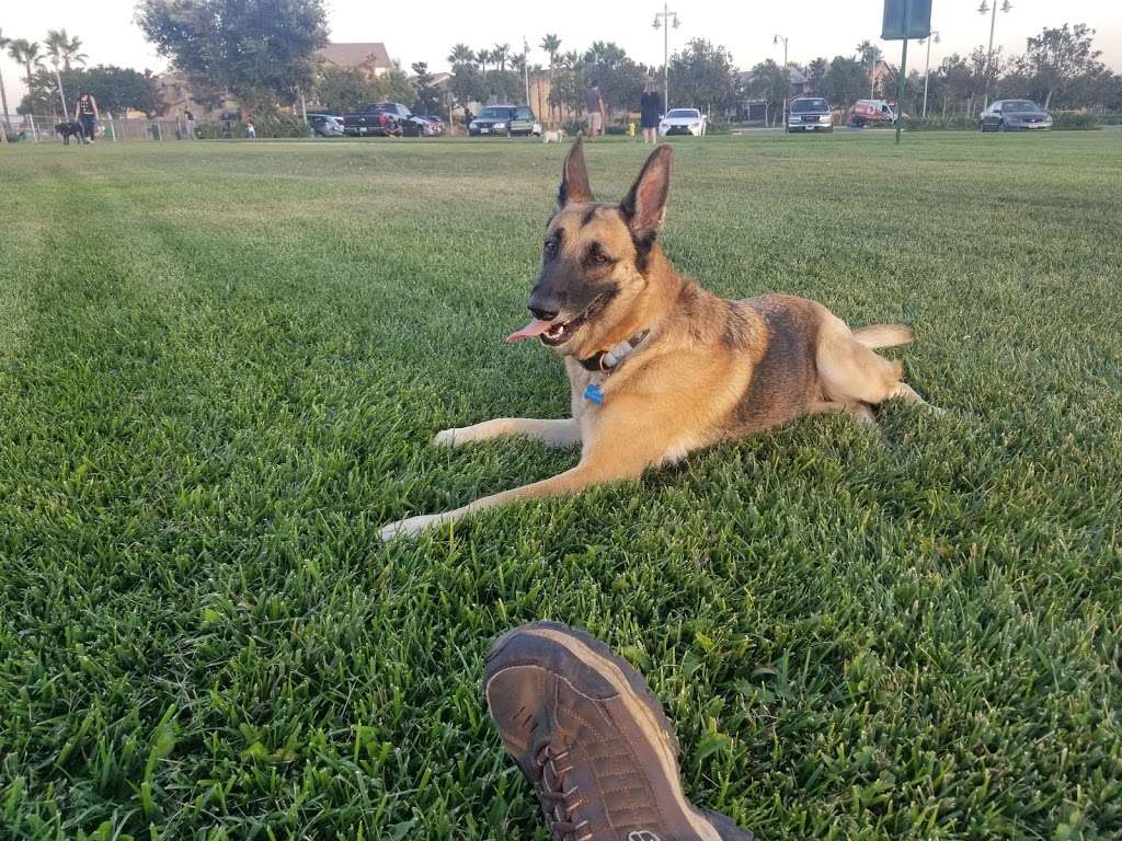 Fontana Dog Park | Fontana, CA 92336, USA