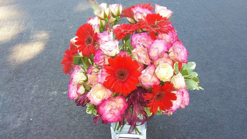 French Florist by Alber | 11920 Chandler Blvd, Valley Village, CA 91607, USA | Phone: (818) 506-1661