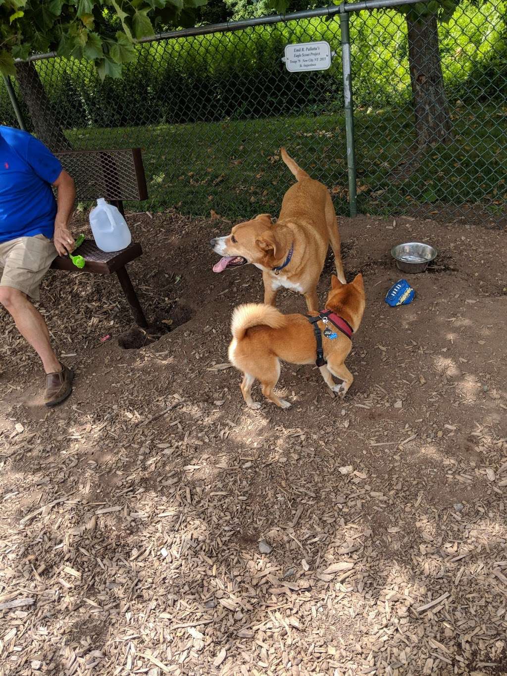 Kennedy Dells Dog Park | Zukor Rd, New City, NY 10956, USA | Phone: (845) 364-2670