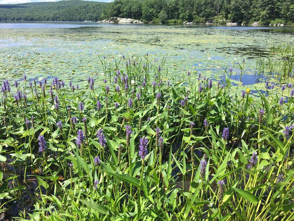 Sterling Forest State Park | 116 Old Forge Rd, Tuxedo Park, NY 10987, USA | Phone: (845) 351-5907