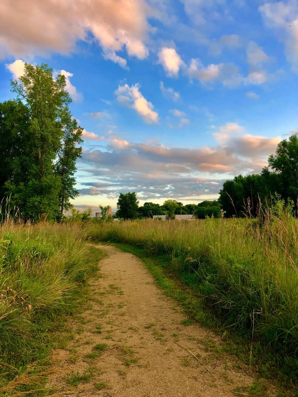 Trout Brook Nature Sanctuary | 1200 Jackson St, St Paul, MN 55117, USA | Phone: (651) 266-6368